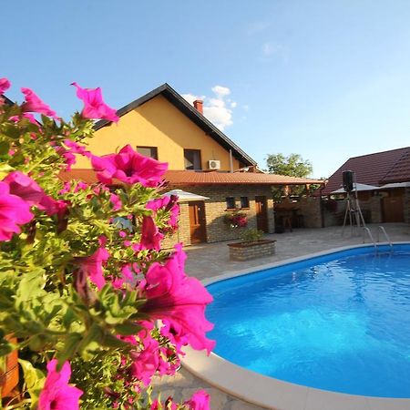 Guest House Vila Alexandar Palić Esterno foto