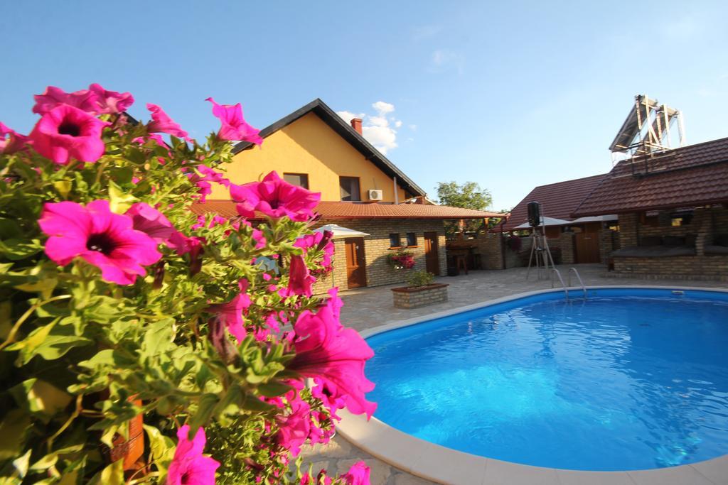Guest House Vila Alexandar Palić Esterno foto